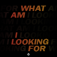 What Am I Looking For?, 2019