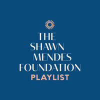 The Shawn Mendes Foundation Playlist, 2020