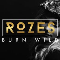 Burn Wild, 2016