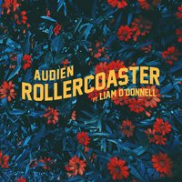 Rollercoaster, 2018