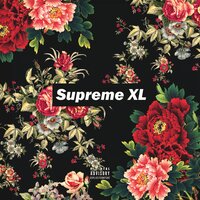 Supreme XL, 2019