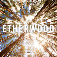 Etherwood, 2013