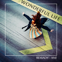 Wonderful Life