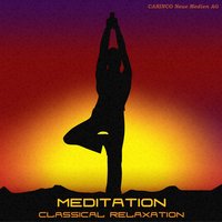 Meditation - Classical Relaxation Vol. 5, 2009