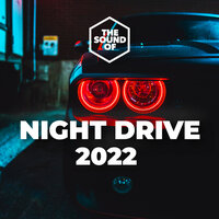 Night Drive 2022, 2022