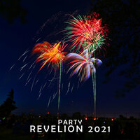 Party de Revelion 2021, 2021