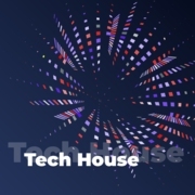 Tech House - 101.ru