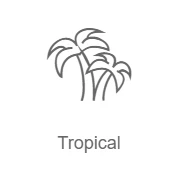 Tropical - Радио Рекорд